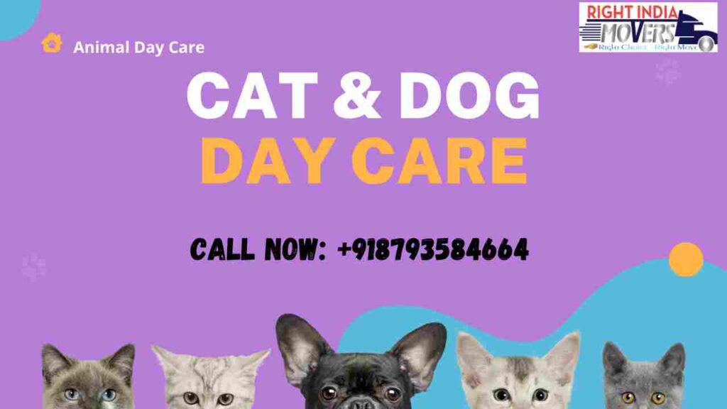 cat & dog day care in gurgaon