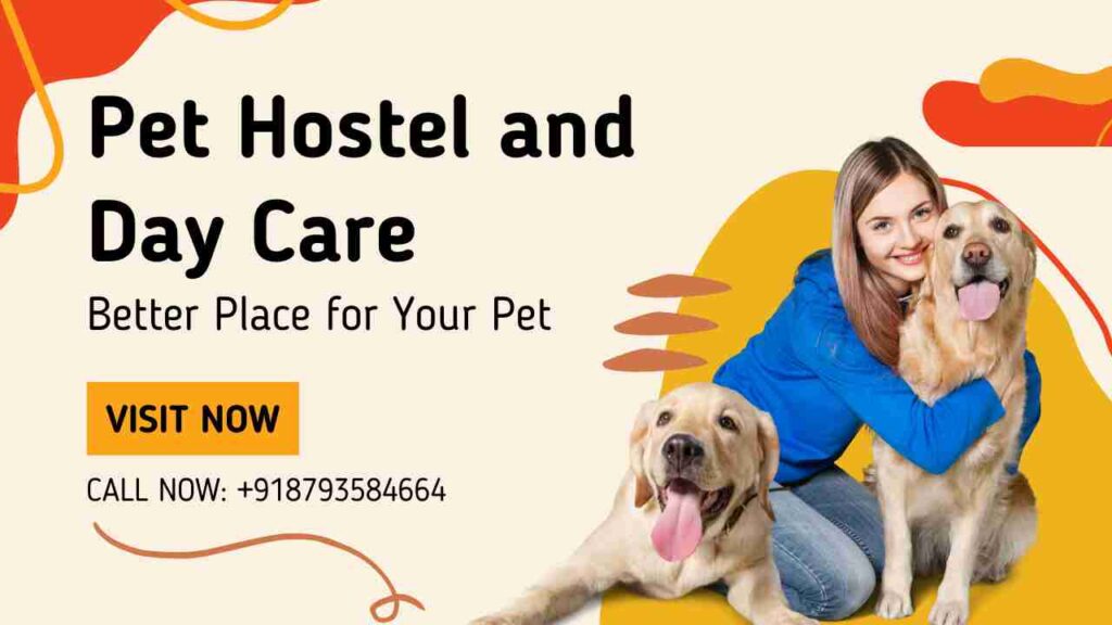 pet hostel services in gurgaon