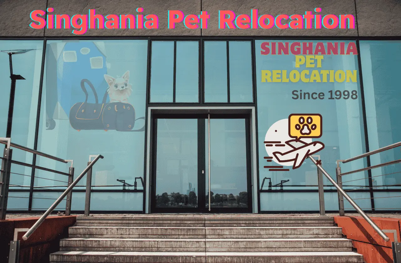 singhania pet relocation company