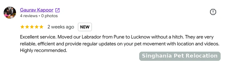Google review for Pune to Lucknow Labrador pet relocation by road