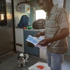 Shih Tzu Hyderabad to Delhi by Train